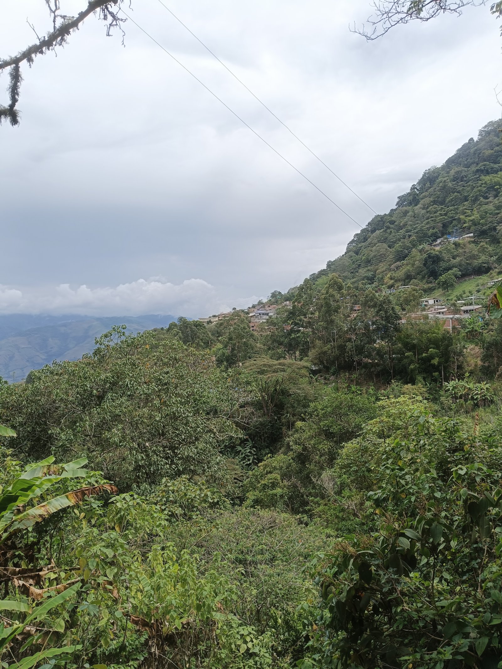 BENDICIENDO MOLINO Y MINA SANTA ELENA